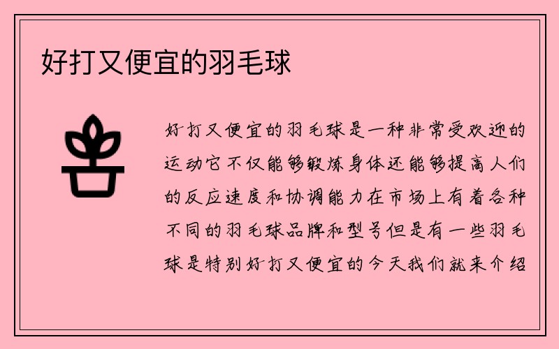 好打又便宜的羽毛球