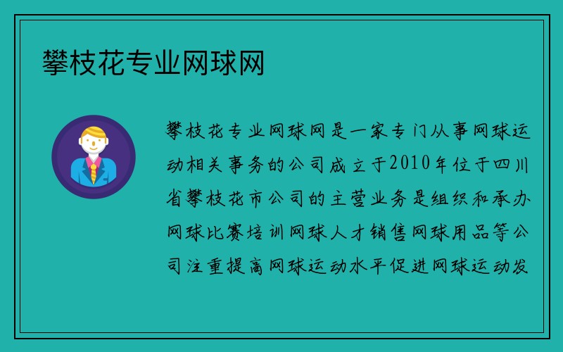 攀枝花专业网球网