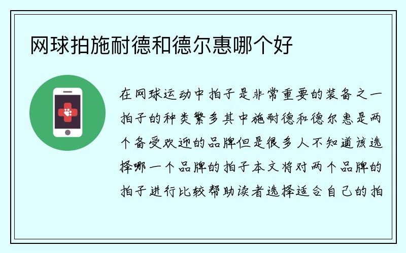 网球拍施耐德和德尔惠哪个好