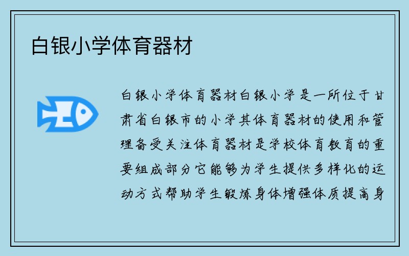 白银小学体育器材