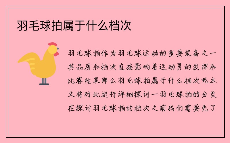 羽毛球拍属于什么档次